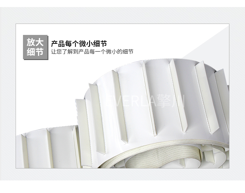 食品输送带加挡块