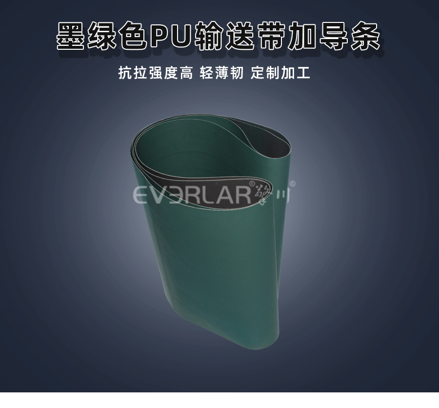 墨绿色<a href='http://www.everla.com/shusongdai/' target='_blank'><u>输送带</u></a>加导条