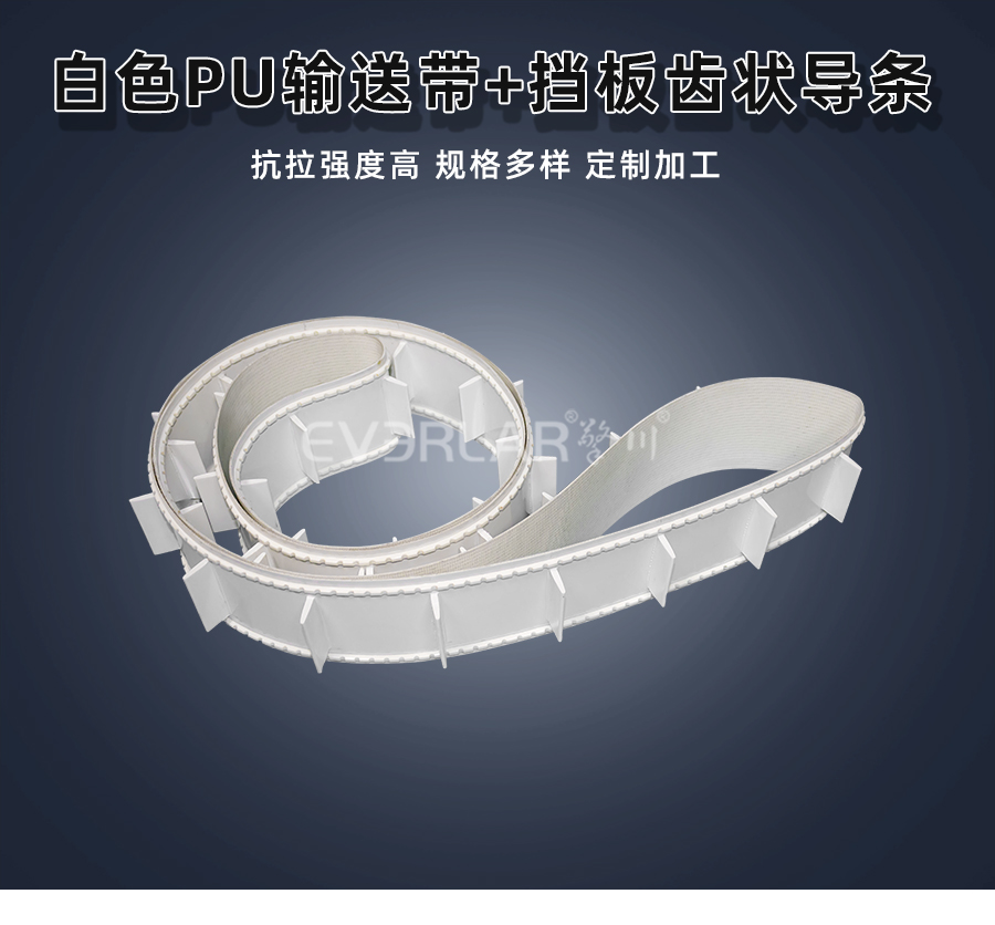 白色PU<a href='http://www.everla.com/shusongdai/' target='_blank'><u>输送带</u></a>加挡板齿状导条详情01