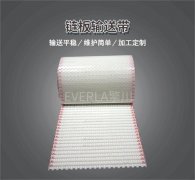 柔性链板输送带有什么特点