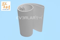 想成为轻型输送带行家,十年传