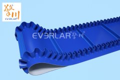 食品输送带有哪些？