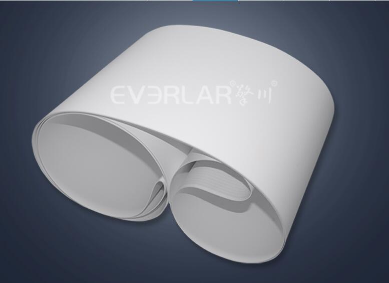 pu<a href='http://www.everla.com/shusongdai/shipin/' target='_blank'><u>食品输送带</u></a>