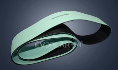 国内工业皮带市场分析