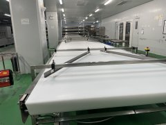 食品输送带的选材秘籍：为美