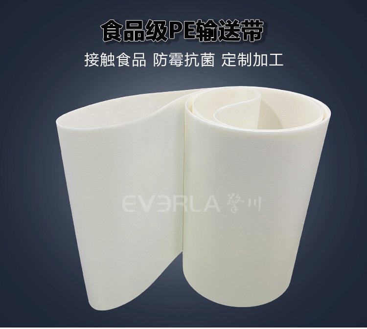 食品级PE<a href='http://www.everla.com/shusongdai/' target='_blank'><u>输送带</u></a>